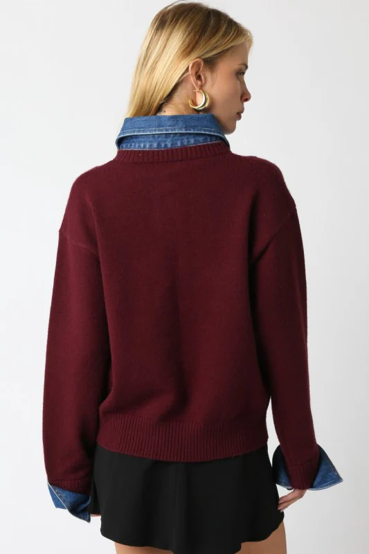 Lover Denim Sweater - Image 15